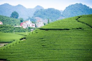 Scenery of Mai Chau