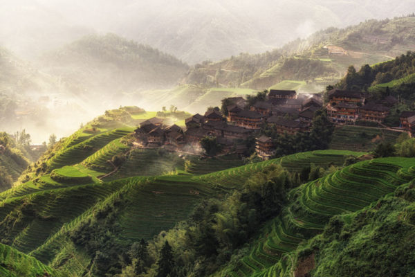 Stunning landscape of rice terrace fields in Longsheng, Guilin.