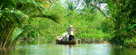 Boat tour through the coconut forest in Mekong Delta, Vietnam. 
