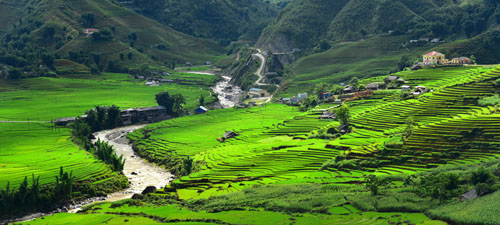 Rice Terrace Fields on the mountain of Sapa, Vietnam. 
