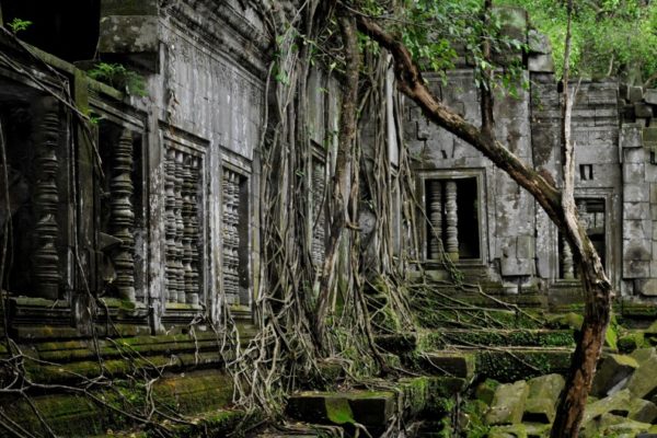 The windows and trees at Beng Mealea Temple