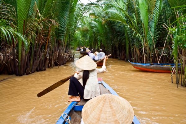Mekong Delta Coconut Forests