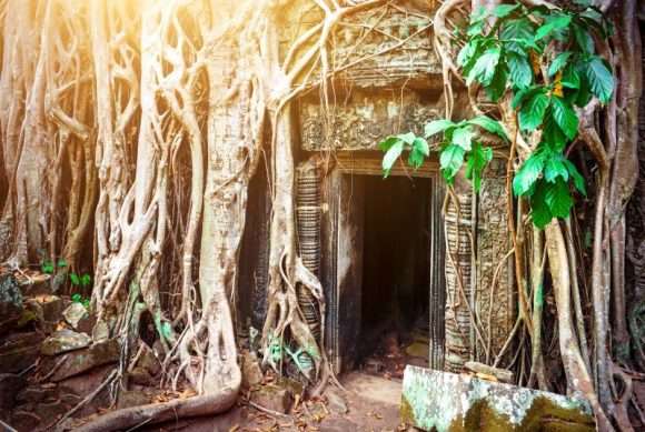 Taprohm ancient university in jungle