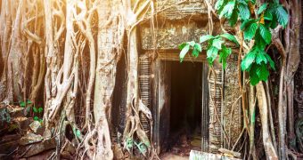 Taprohm ancient university in jungle, Cambodia