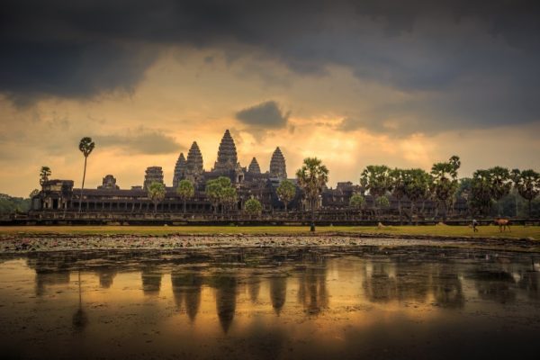 Angkor Wat Temple (largest ancient temple in the world)