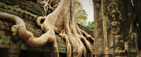 Ta Prohm Jungle Temple - 12 Days Laos Cambodia Romantic Tropical Island Honeymoon
