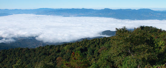 Mountain View on top of mountain peak at Doi Inthanon National Park, Chiang Mai, northern Thailand.