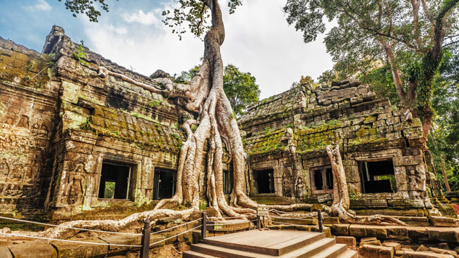 Tap Prohm Temple and ancient trees -- Vietnam Cambodia 12 Days Highlights Tour