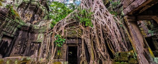 Taprohm Jungle Temple - 22 Days World Wonders Tour Indochina