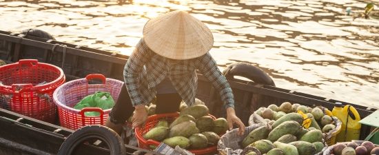 Vietnamese Floating Market - 18 Days Perfect Family Holiday Thailand Vietnam