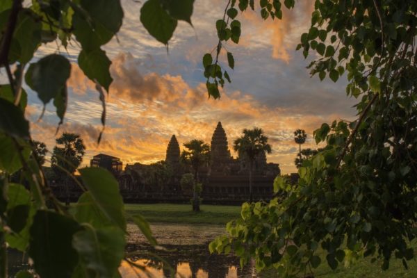 Angkor Wat Temple in Jungle