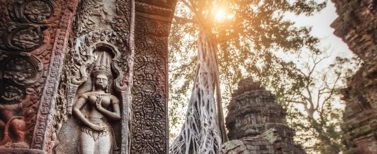 Ta Prohm Jungle Temple - 21 Days Thailand Cambodia Luxury Tour plus Golden Triangle