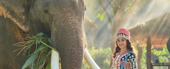 Elephant Sanctuary - 15 Days Glance Thailand Vietnam Angkor Detour