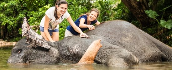 Elephant bathing - 17 Days Best Thailand Siem Reap City Phuket Luxury Getaway