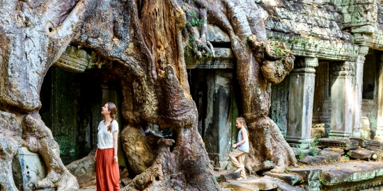 ancient jungle temple of Ta Prohm