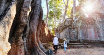 the Ta Prohm Temple in Jungle