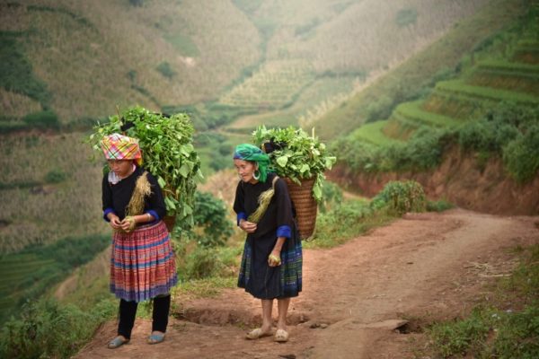 Hmong women in Sapa Village