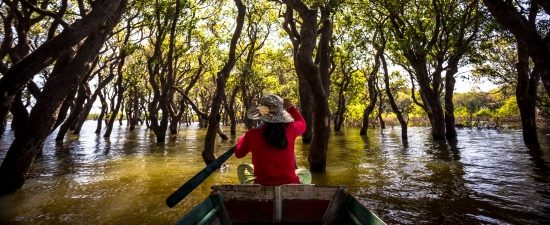 Mangrove Forest of Kompong Phluk Village - 15 Days Glance Thailand Vietnam Angkor Detour