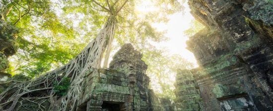 Taprohm Jungle Temple - 20 Days Adventure Thailand Vietnam Cambodia