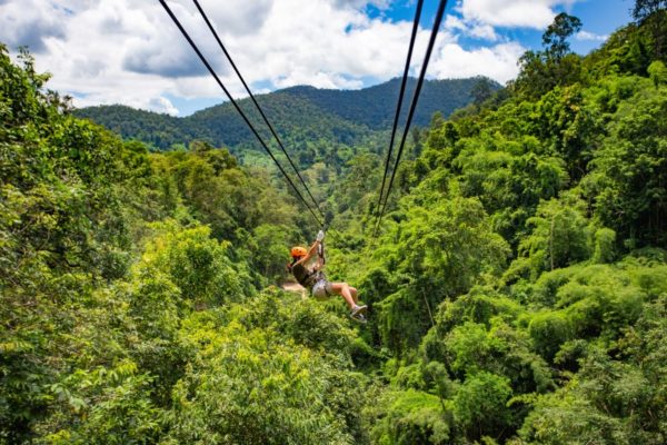 Zipline adventure through tropical forests