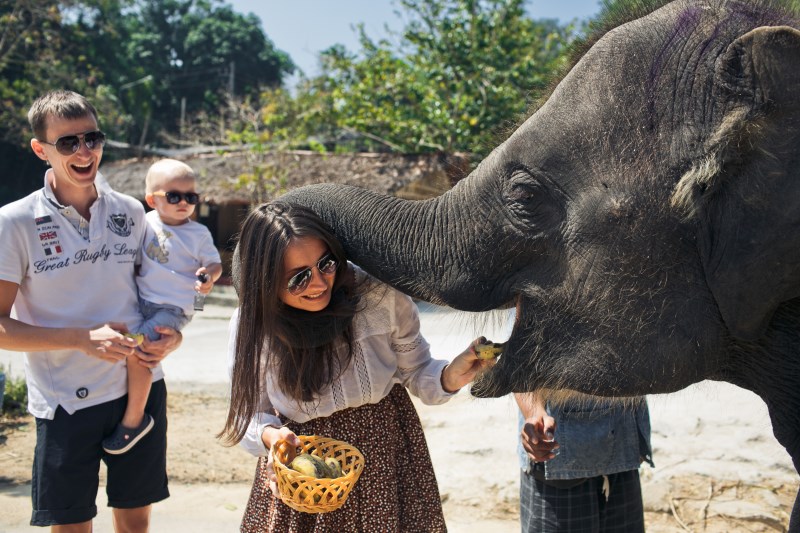 a family of fours feeding an elephant