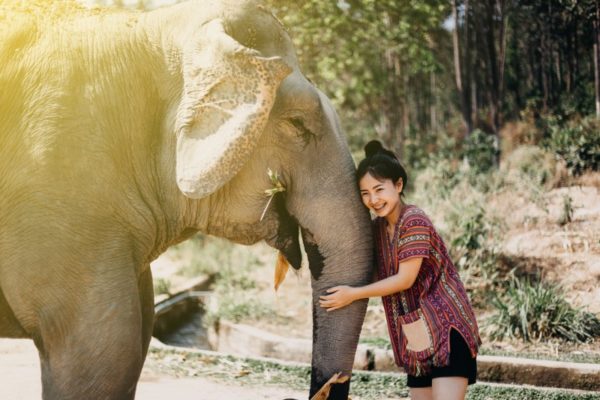 a local caring an elephant