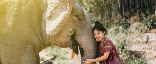 Elephant Sanctuary - 17 Days Thai Burmese Cultural Highlights Tour