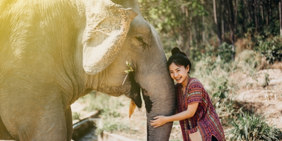 a lady caring an elephant